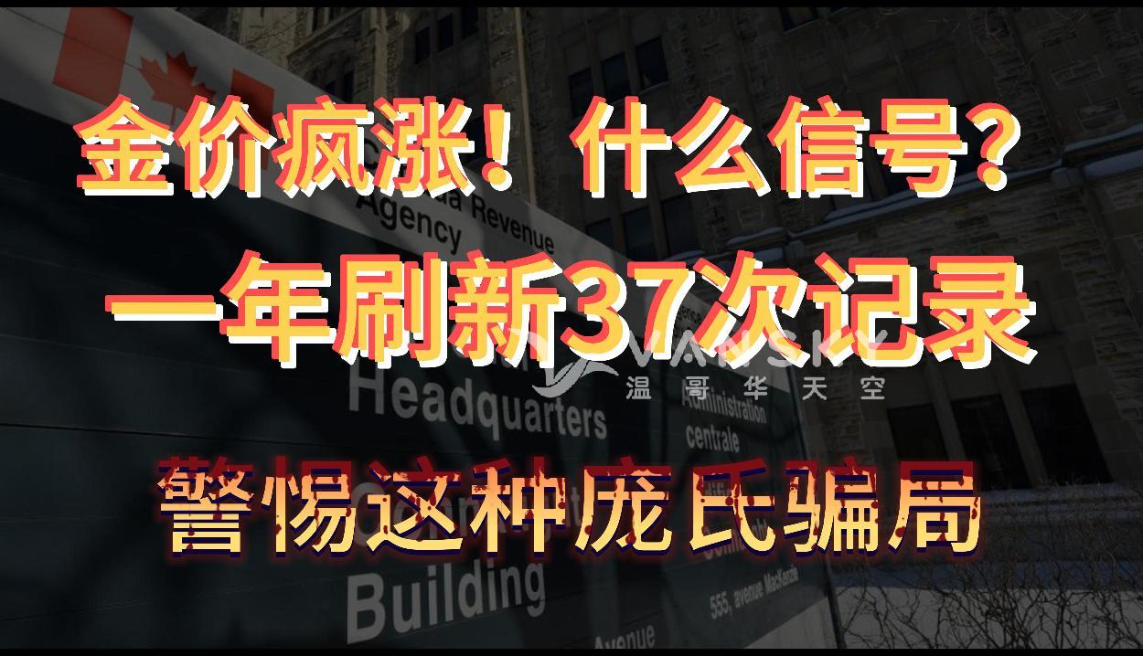 黄金涨疯了 一年37次刷新历史纪录 什么信号；不看CRA的电子邮件，错过重要通知！男子被罚5.8万元；华裔名人出狱后再骗两人，警惕庞氏骗局！